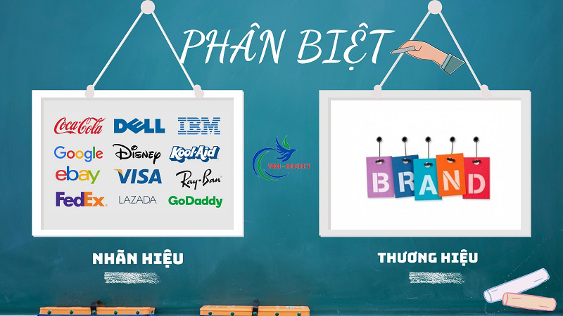 so-sanh-nhan-hieu-va-thuong-hieu-vhhnews