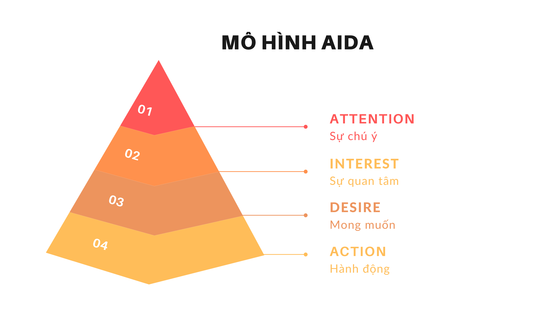 ung-dung-pheu-aida-vhhnews