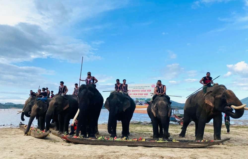 buffet-de-dai-voi -vhhnews