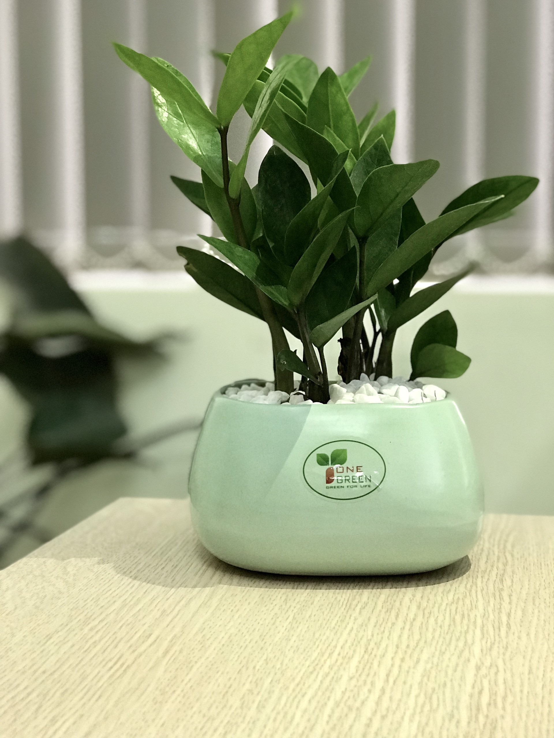 hop-tuoi-than-c3-vhhnews