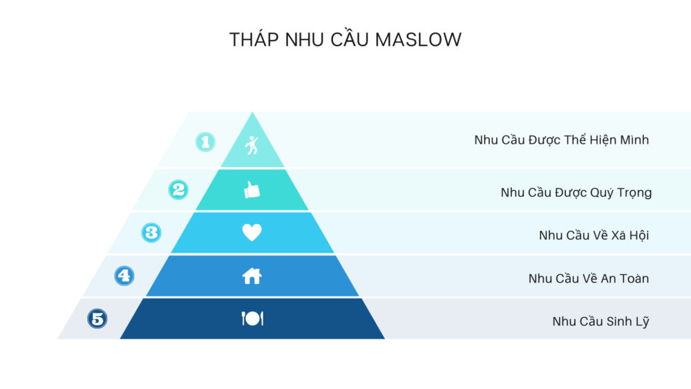thap-nhu-cau-maslow-vhhnews