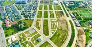 lac-hong-phuc-vhhnews