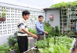 nong-nghiep-do-thi-vhhnews