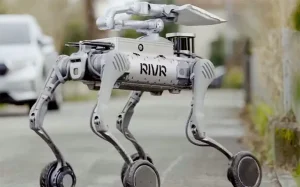 robot-giao-hang-vhhnews